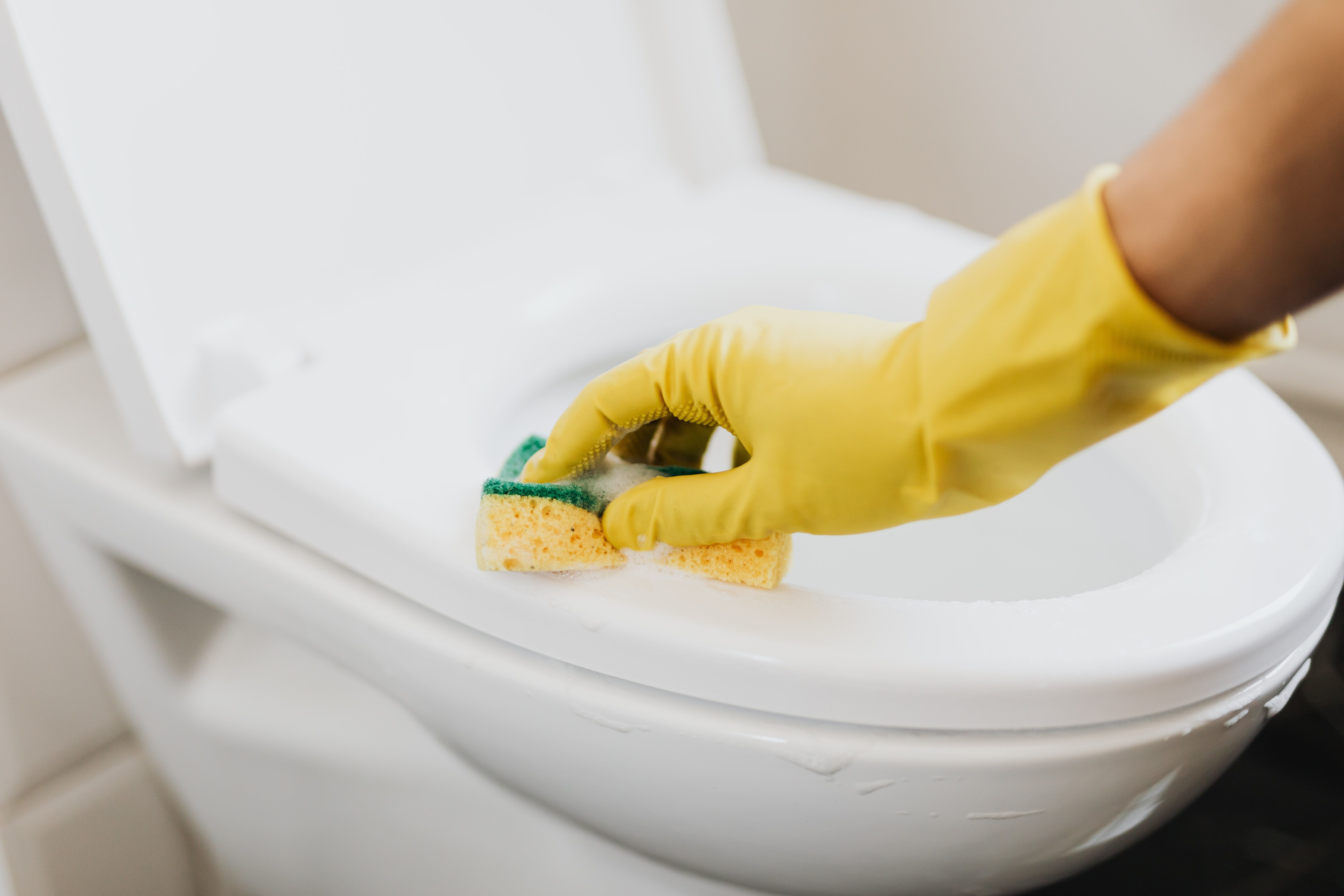 Bathroom Scrubbing & Sanitization