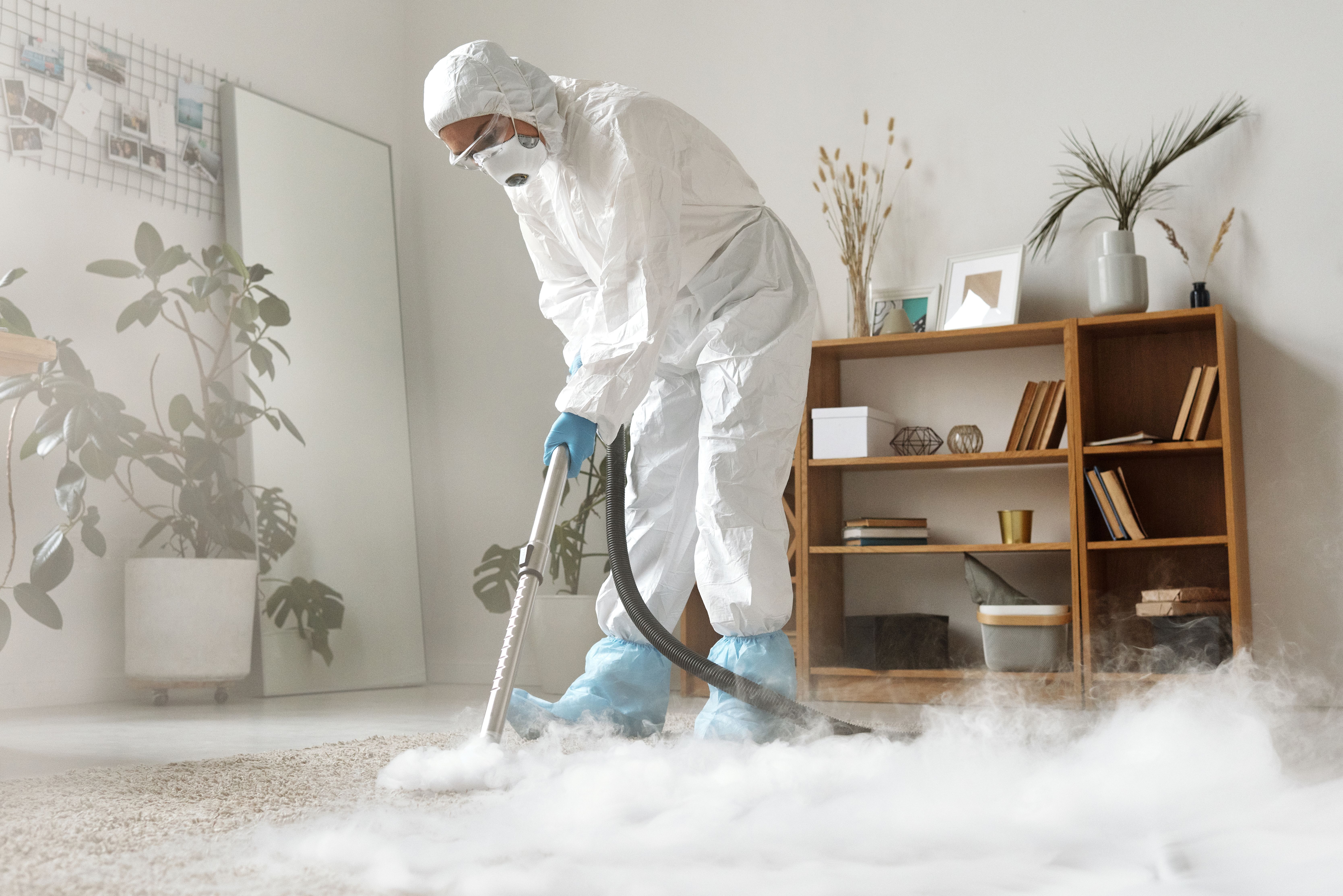 Carpet Cleaning Services